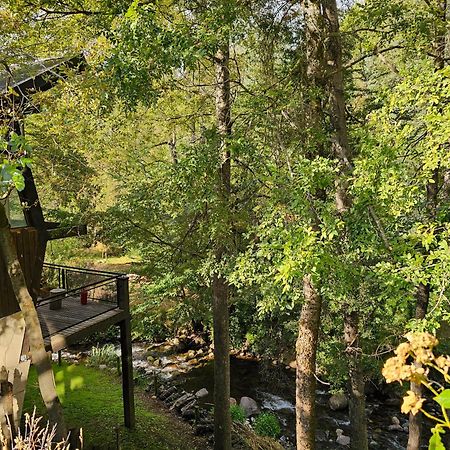Das Rosenhaus Apart Hotel By Rosas Blancas San Martín de los Andes Eksteriør billede