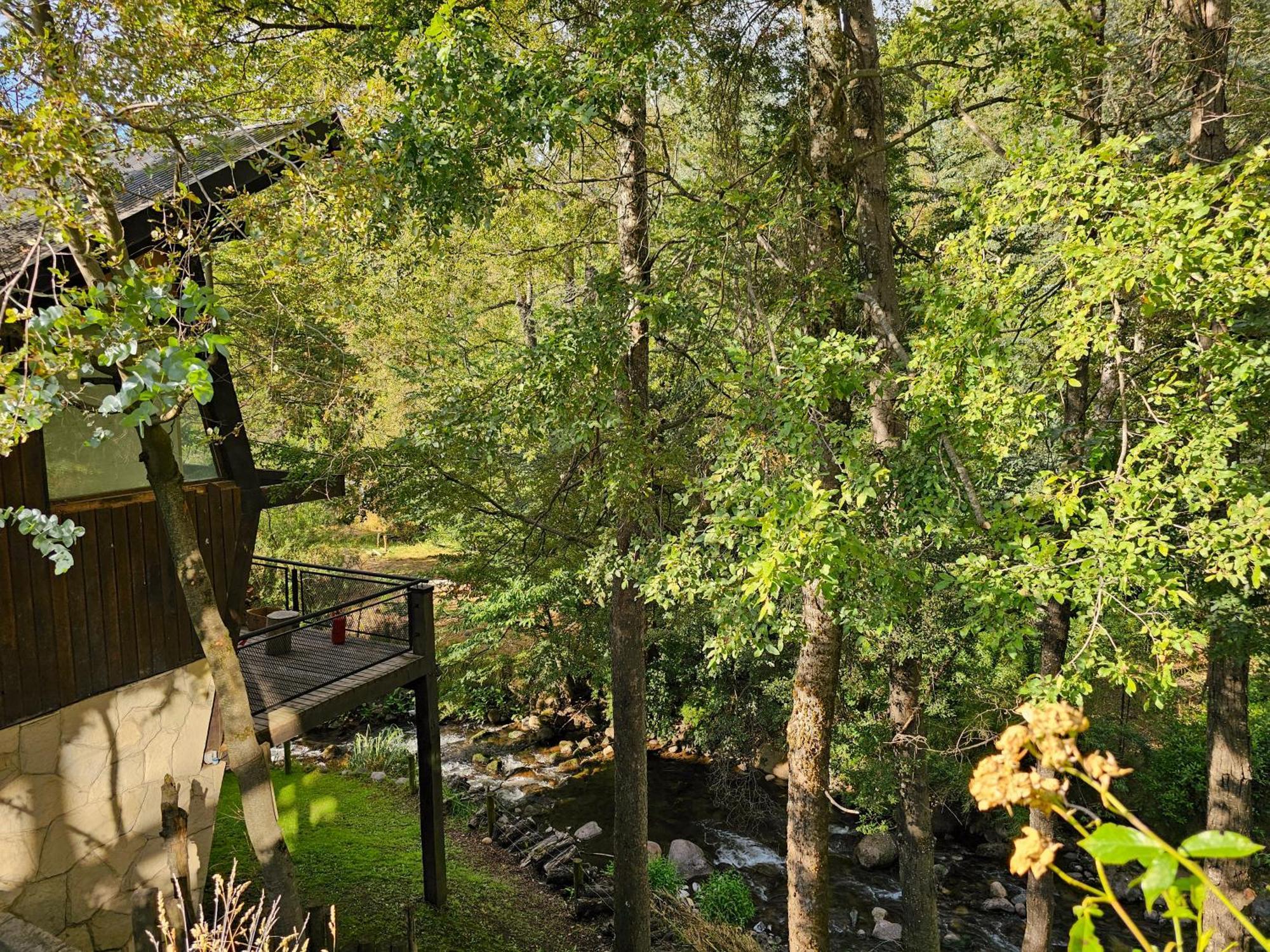 Das Rosenhaus Apart Hotel By Rosas Blancas San Martín de los Andes Eksteriør billede